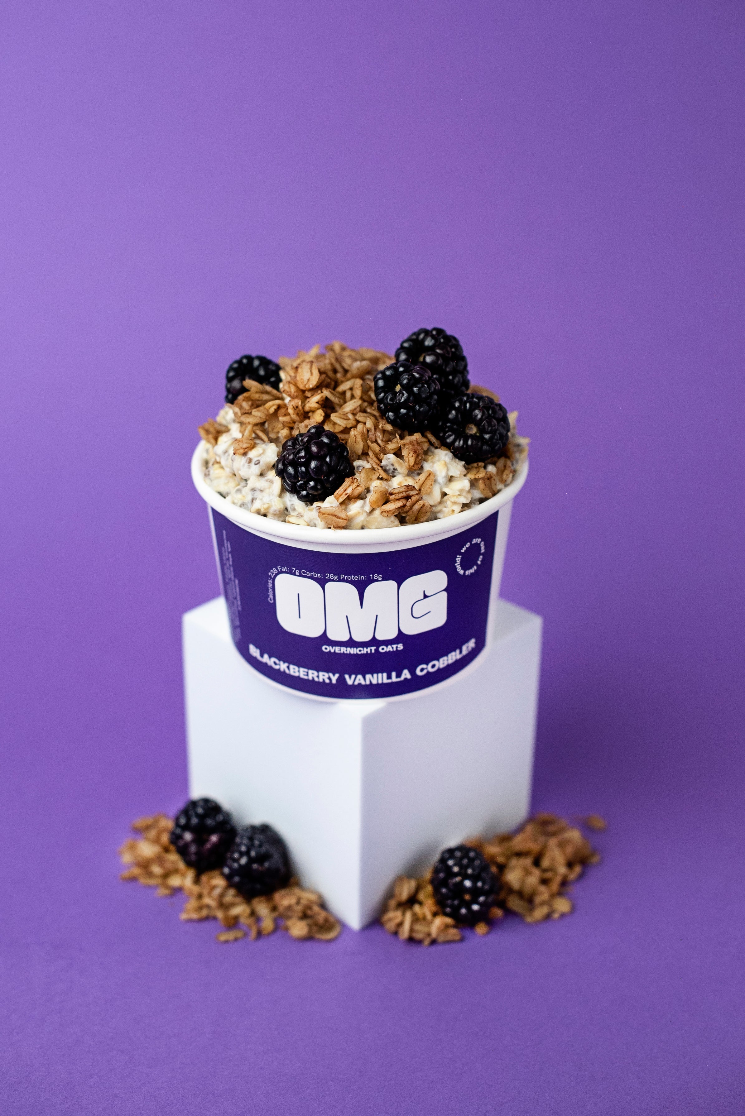 Blackberry Vanilla Cobbler – omgovernightoats
